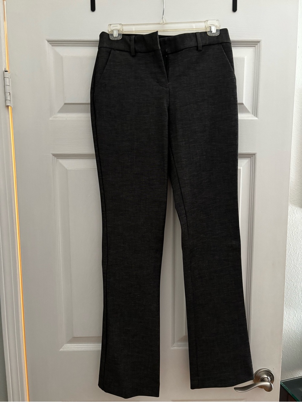 Express Woman’s Dark Charcoal Dress Pants -New